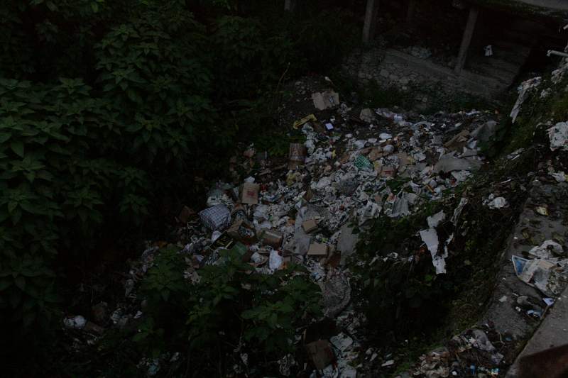 India & Nepal 2011 - 0474